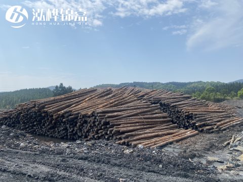 河道打樁為什么選擇松木樁來處理軟地基？-松木樁施工使用范圍